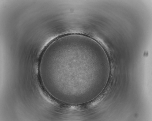 X0000094220060200711021149