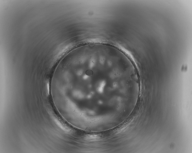 X0000094220061200711021149