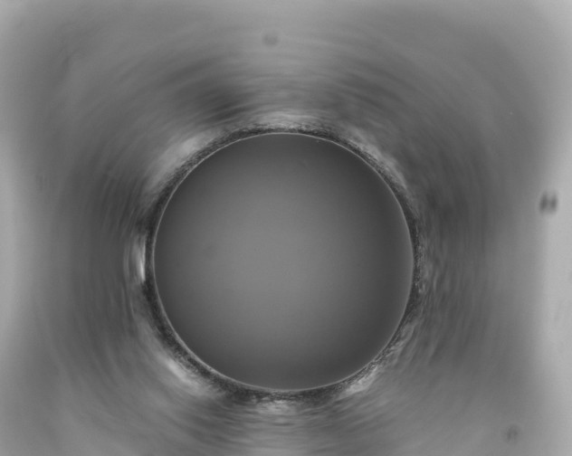 X0000094220062200711021149