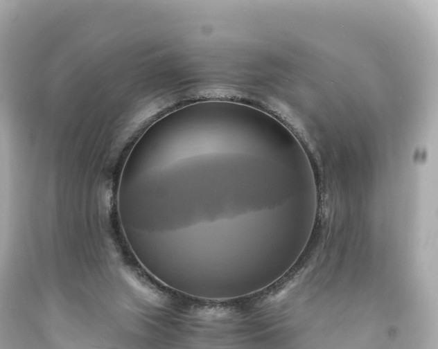 X0000094220063200711021149