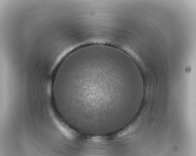 X0000094220064200711021149