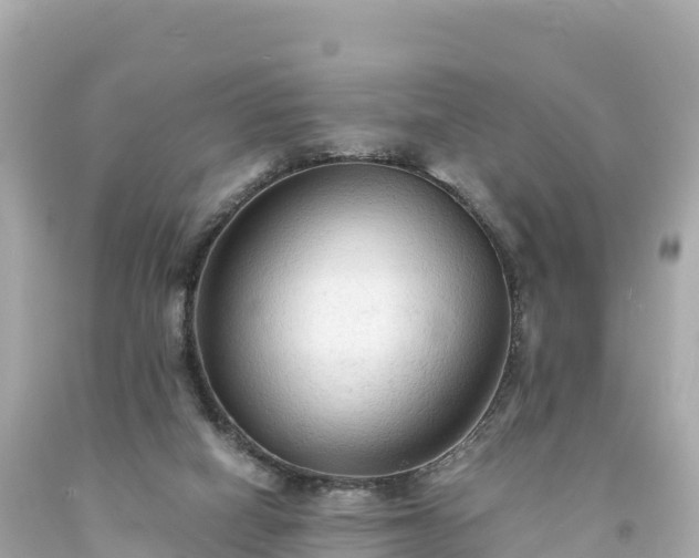 X0000094220066200711021149