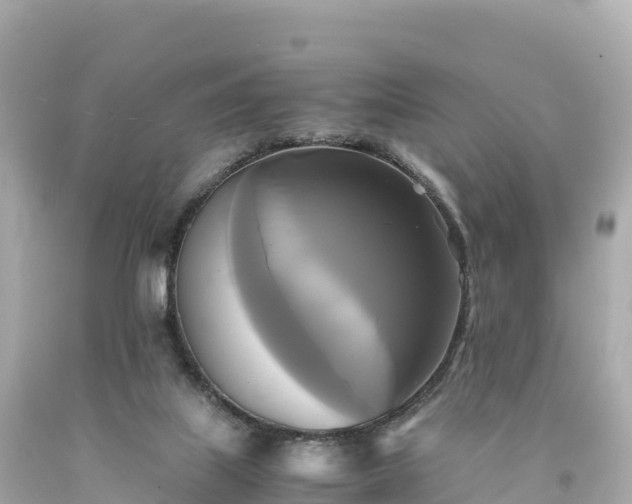 X0000094220067200711021149