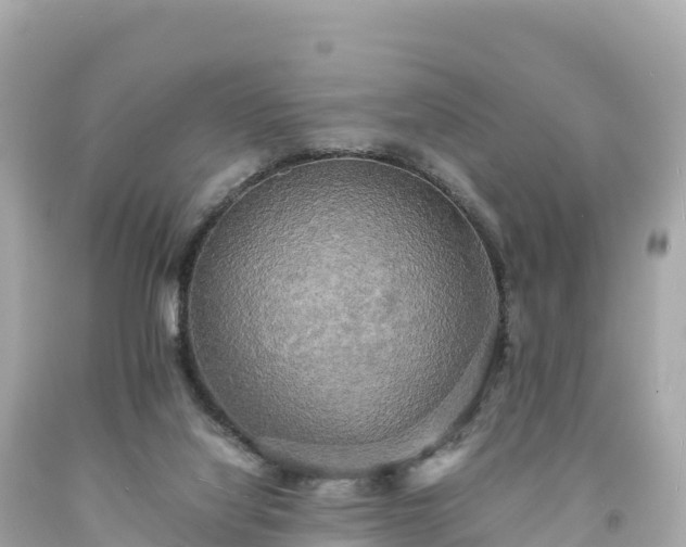 X0000094220068200711021149