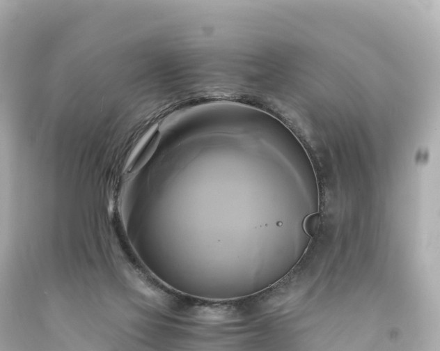 X0000094220069200711021149