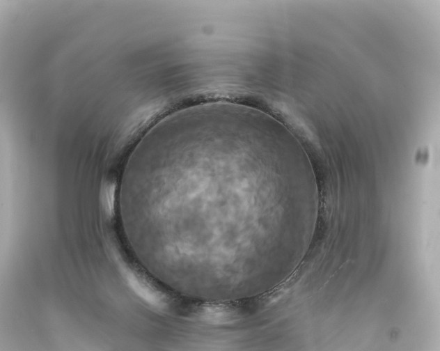 X0000094220070200711021149