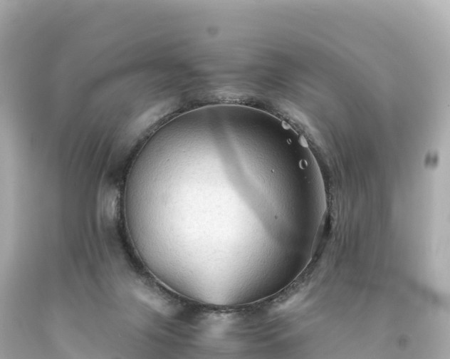 X0000094220071200711021149