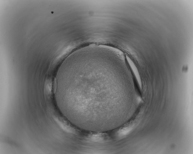 X0000094220072200711021149