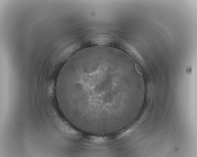 X0000094220073200711021149