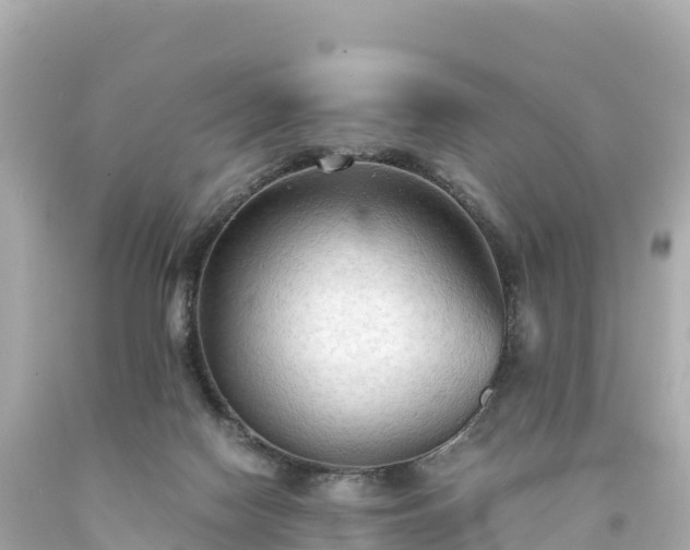 X0000094220074200711021149