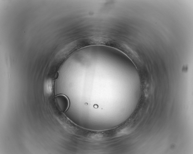 X0000094220075200711021149