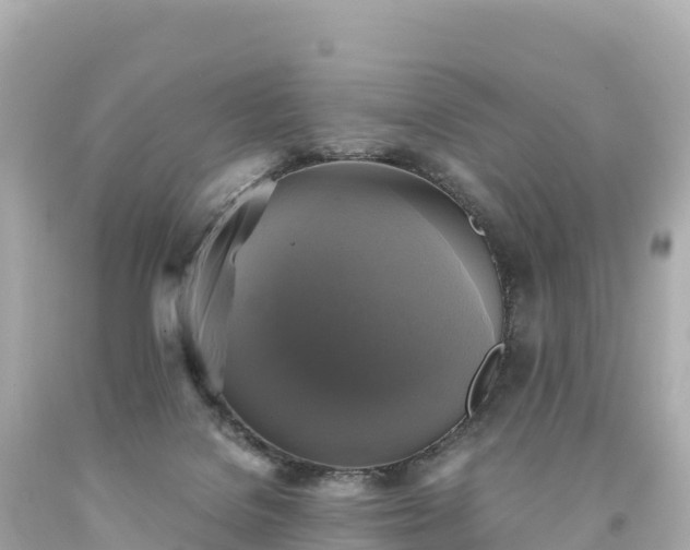 X0000094220076200711021149