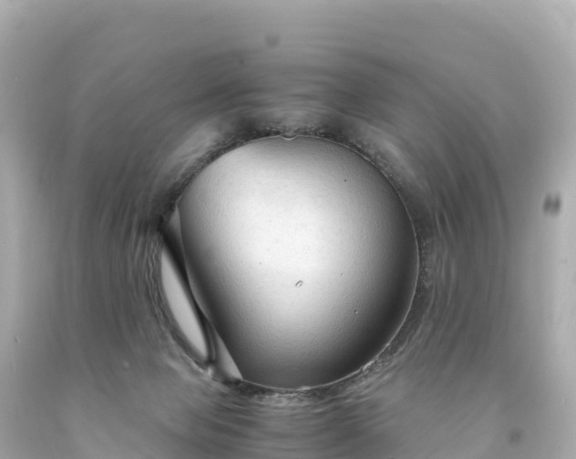 X0000094220077200711021149