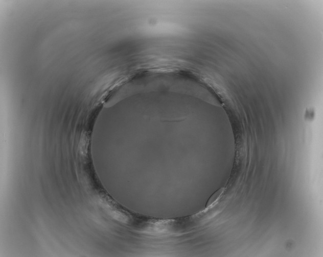 X0000094220078200711021149