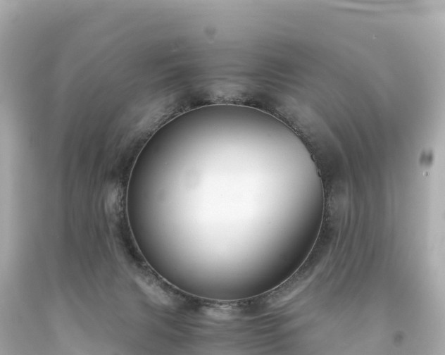 X0000094220079200711021149