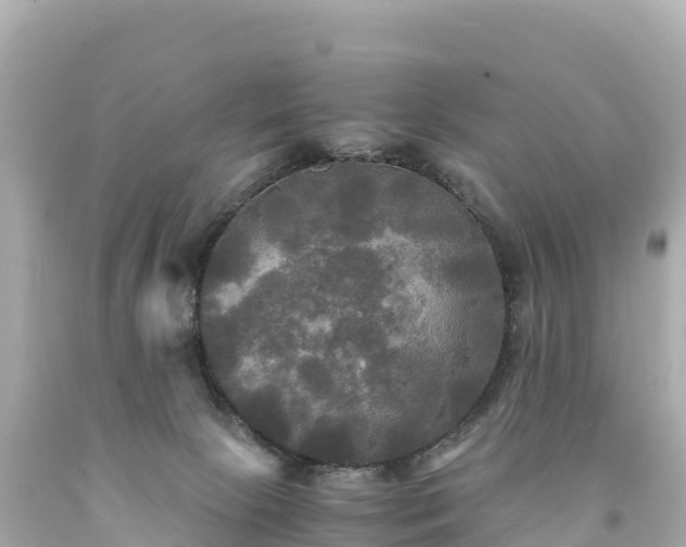 X0000094220081200711021149