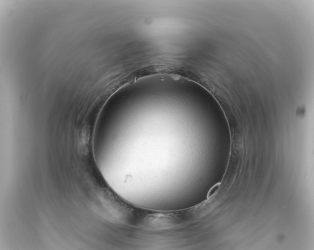 X0000094220082200711021149