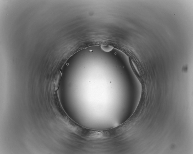 X0000094220083200711021149