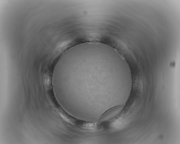 X0000094220084200711021149