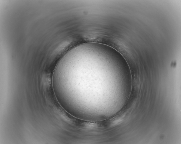 X0000094220085200711021149