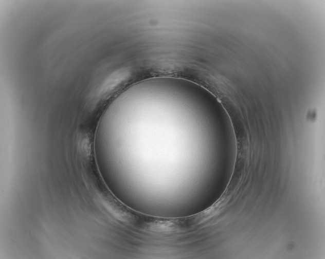 X0000094220086200711021149