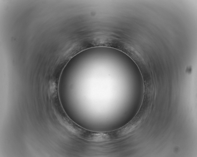 X0000094220087200711021149