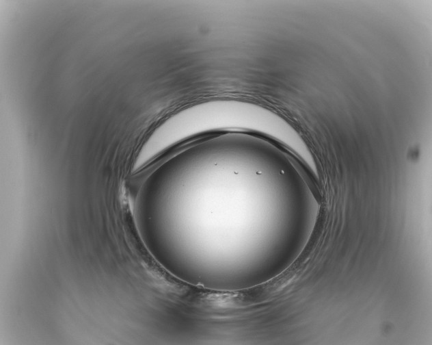 X0000094220089200711021149