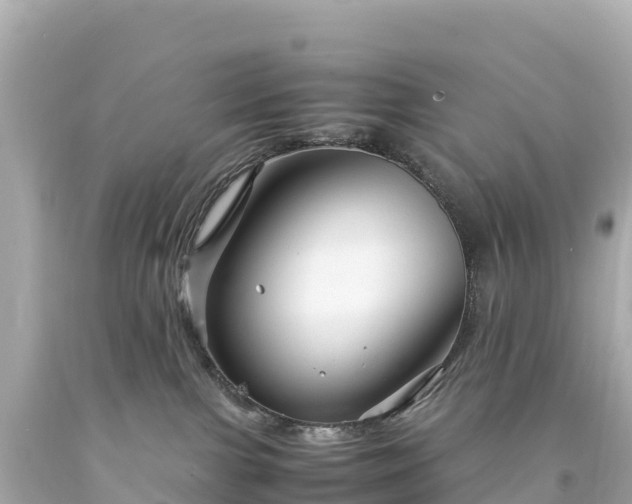 X0000094220091200711021149