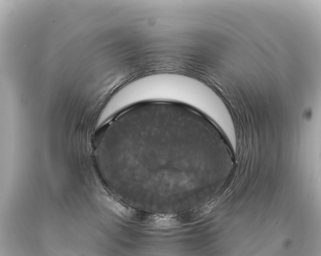 X0000094220093200711021149