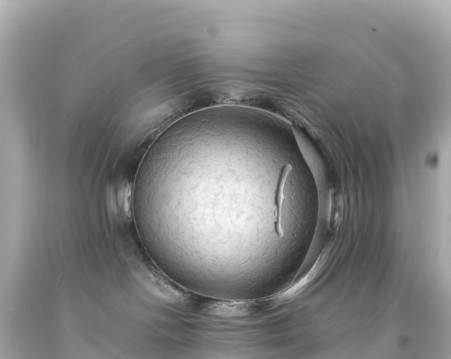 X0000094220094200711021149