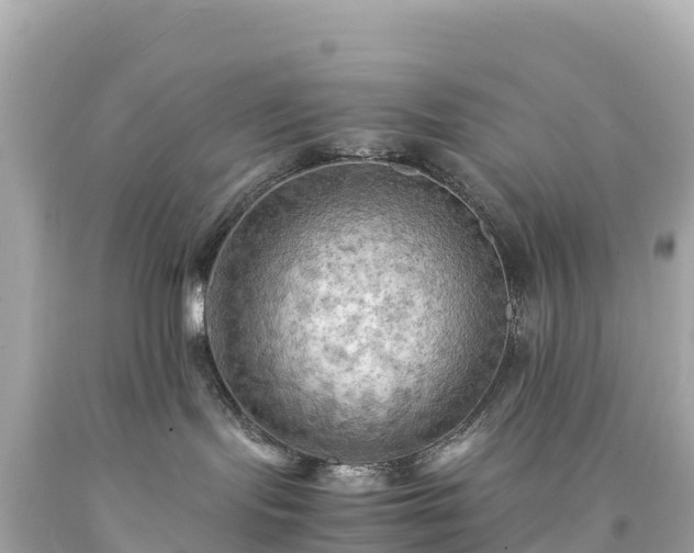 X0000094220095200711021149