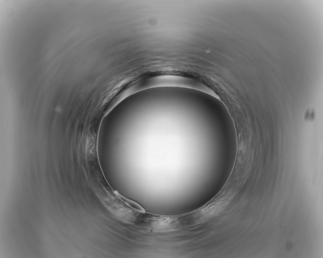 X0000094220096200711021149