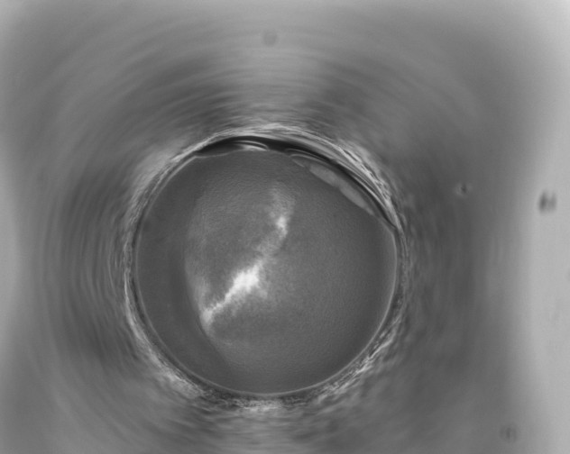 X0000094220097200711021149