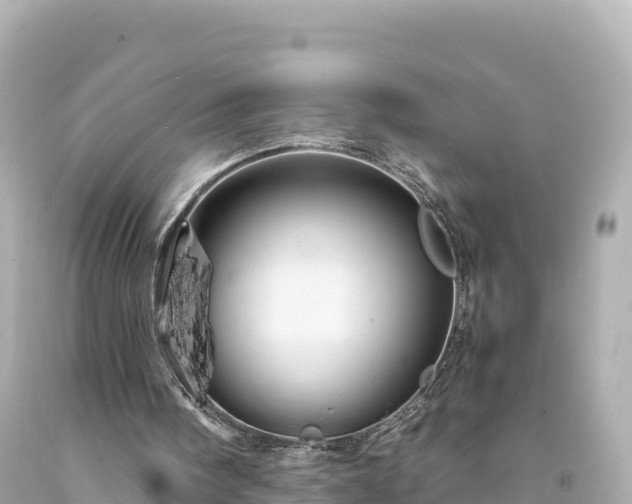 X0000094220098200711021149