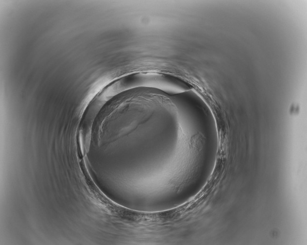 X0000094220099200711021149