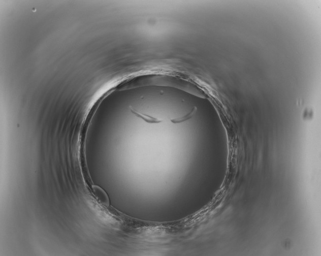 X0000094220100200711021149