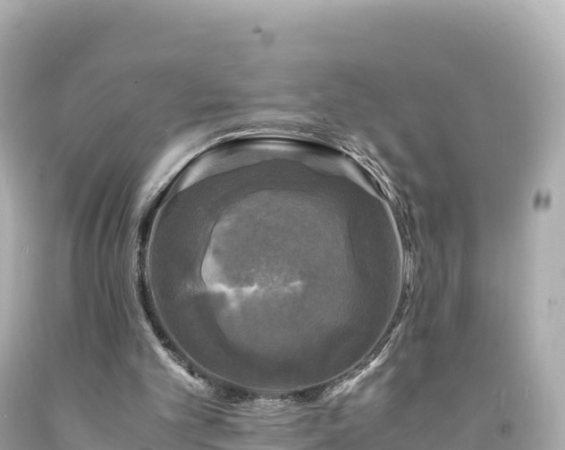 X0000094220101200711021149