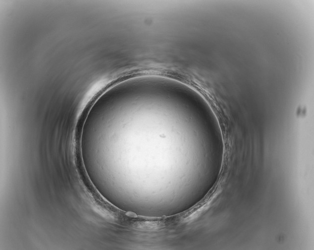 X0000094220102200711021149