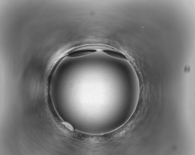 X0000094220103200711021149