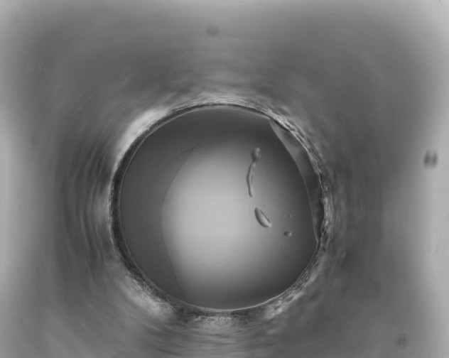 X0000094220104200711021149