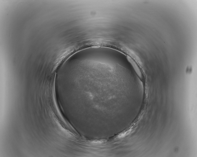 X0000094220105200711021149