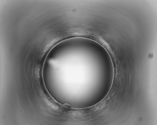 X0000094220106200711021149