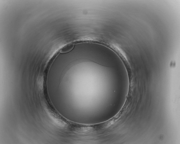 X0000094220108200711021148