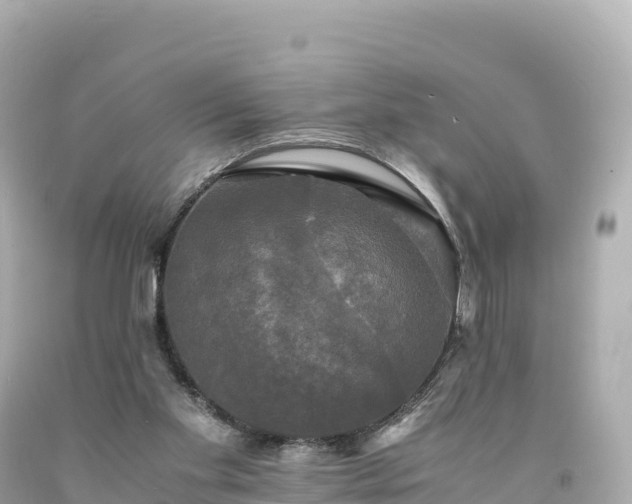 X0000094220109200711021148