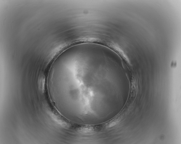 X0000094220110200711021148