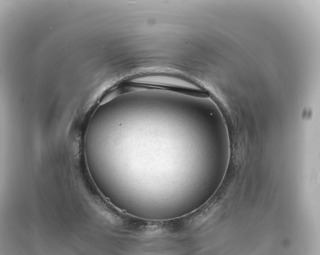 X0000094220111200711021148