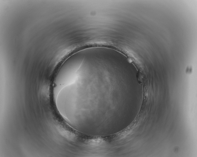 X0000094220112200711021148