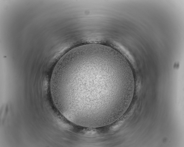 X0000094220113200711021148