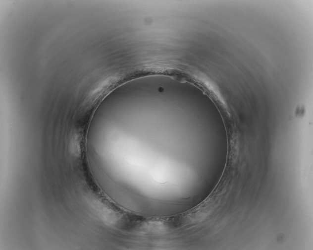 X0000094220114200711021148