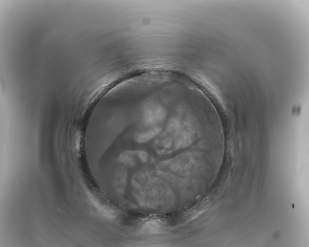 X0000094220115200711021148